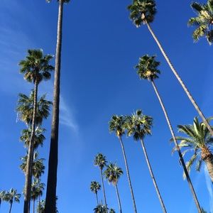 Meet your Posher, Dani